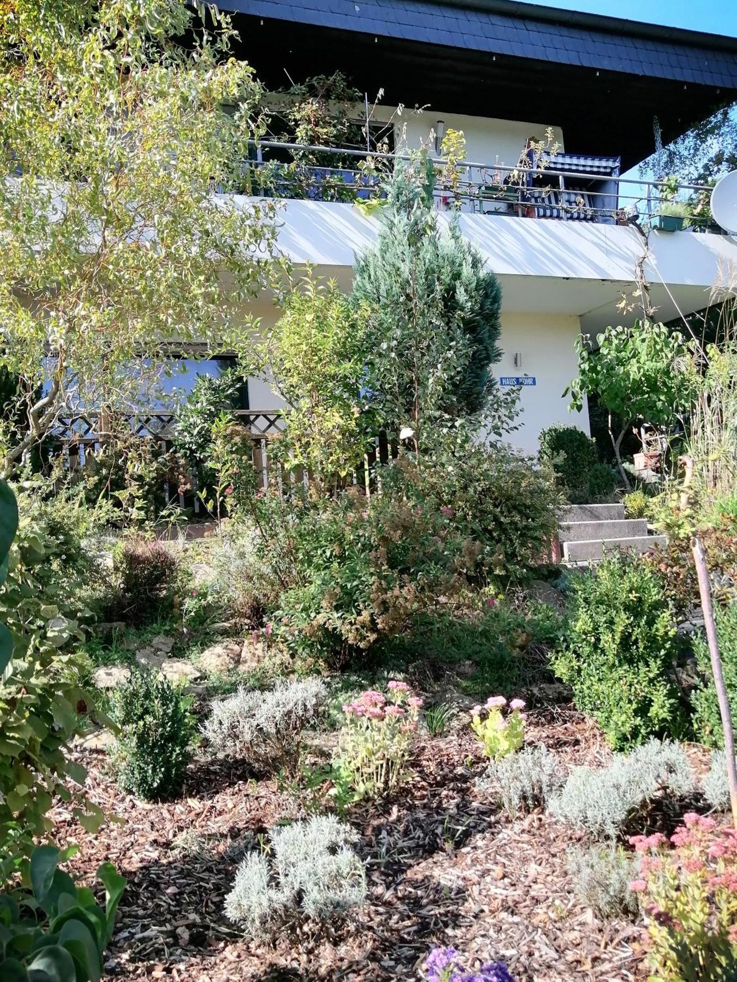 Haus Mohr - Ferienwohnung Im Taunus Weilmunster エクステリア 写真